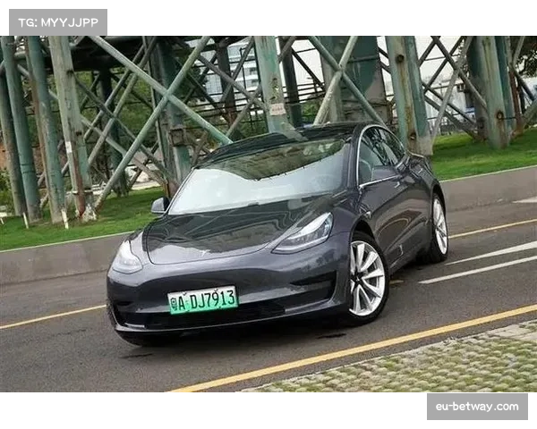 美国F1粉丝五年增长超四倍 Z世代与女性观众成增长主力